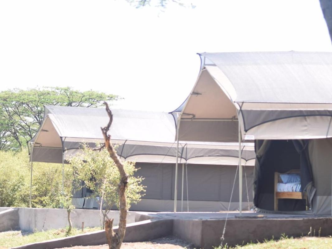 Maasai Mara Safari Camp In Kenya Bed & Breakfast Sekenani ภายนอก รูปภาพ