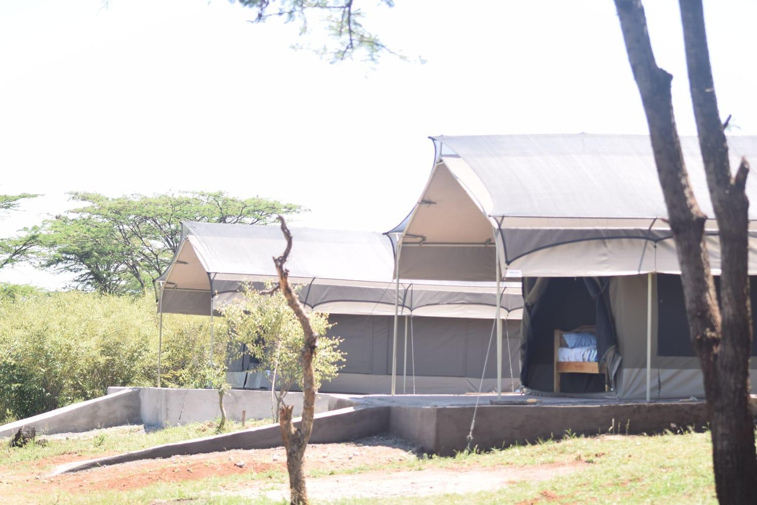 Maasai Mara Safari Camp In Kenya Bed & Breakfast Sekenani ภายนอก รูปภาพ