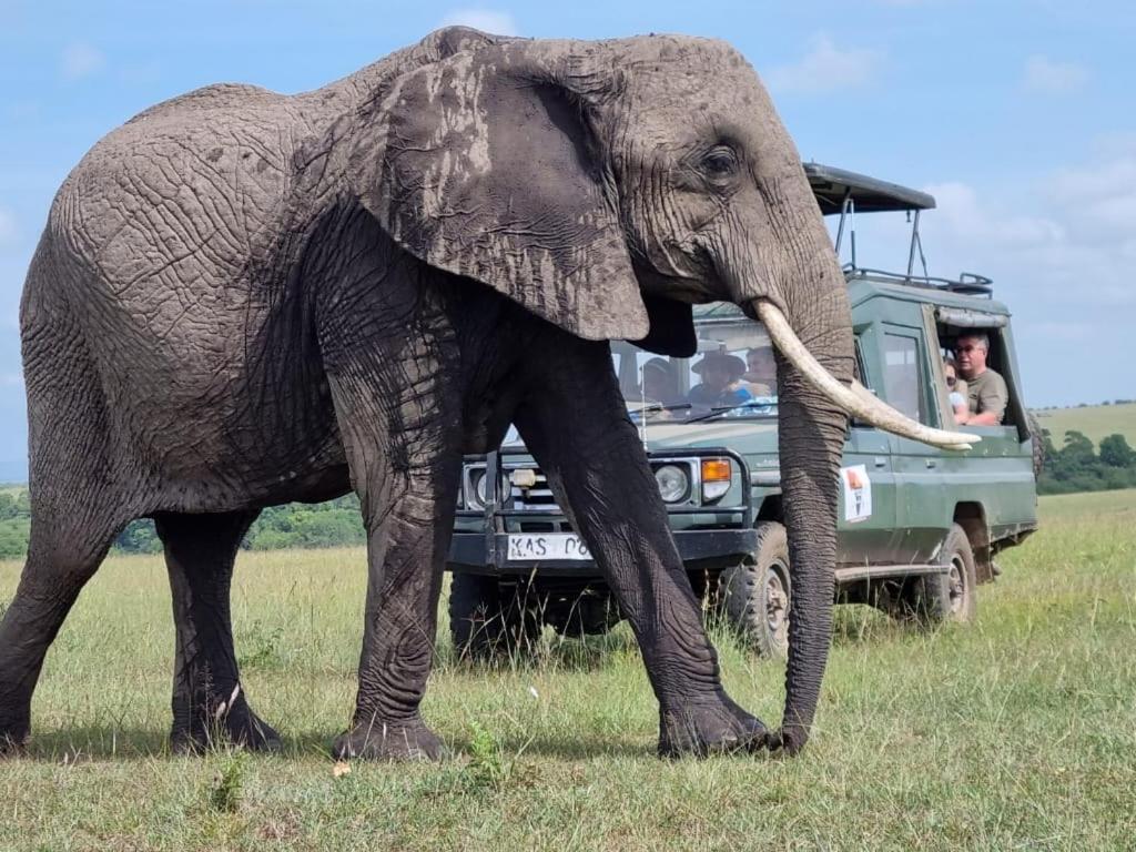 Maasai Mara Safari Camp In Kenya Bed & Breakfast Sekenani ภายนอก รูปภาพ